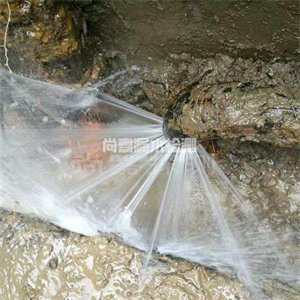 抱罗镇消防管道漏水检测